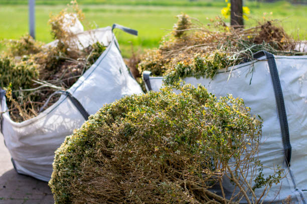Best Same-Day Junk Removal  in Daphne, AL