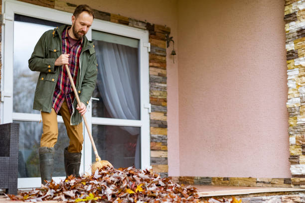 Yard Cleanup Services in Daphne, AL